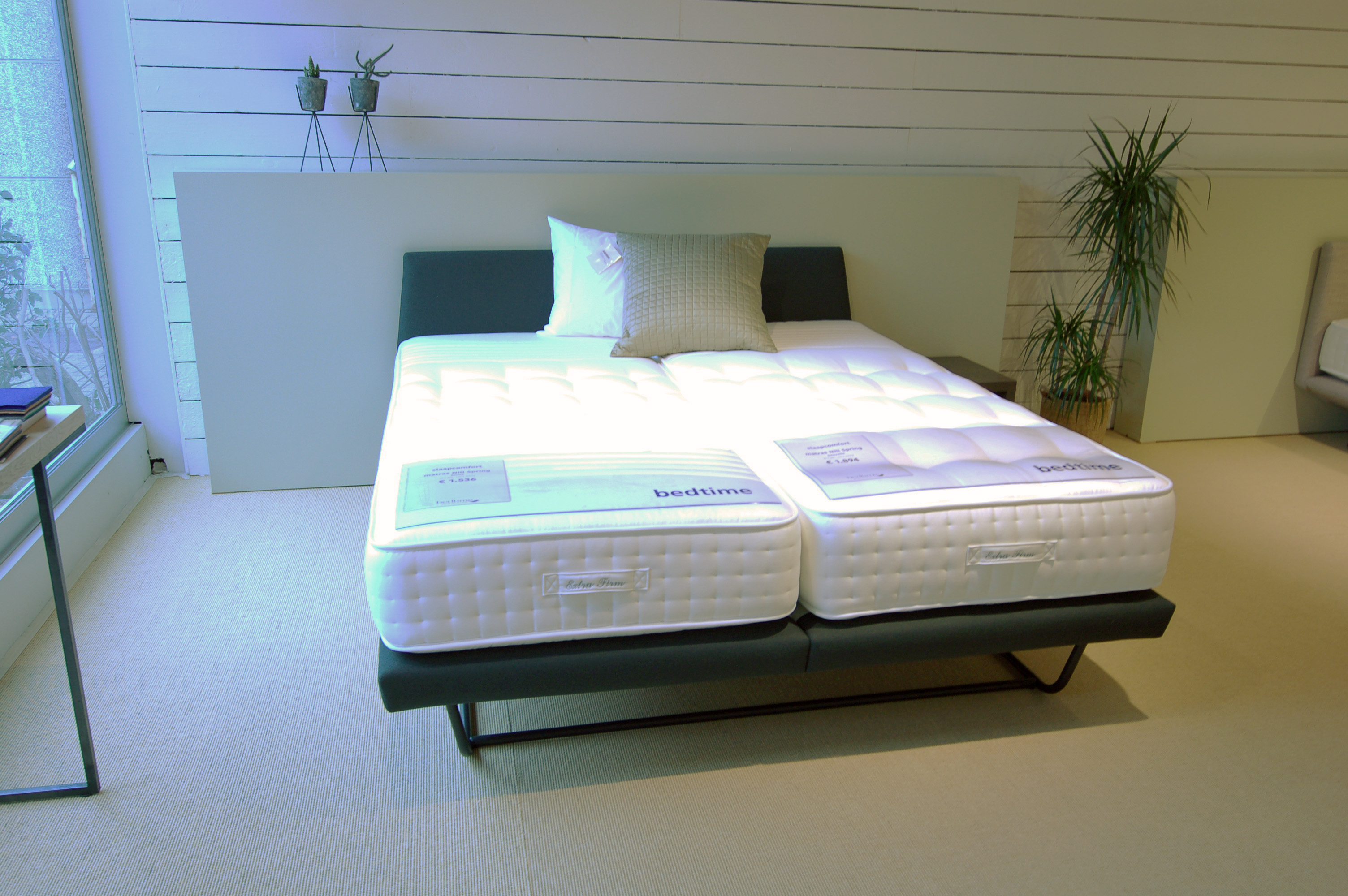 Nill Spring - Aria Nill Spring - Aria